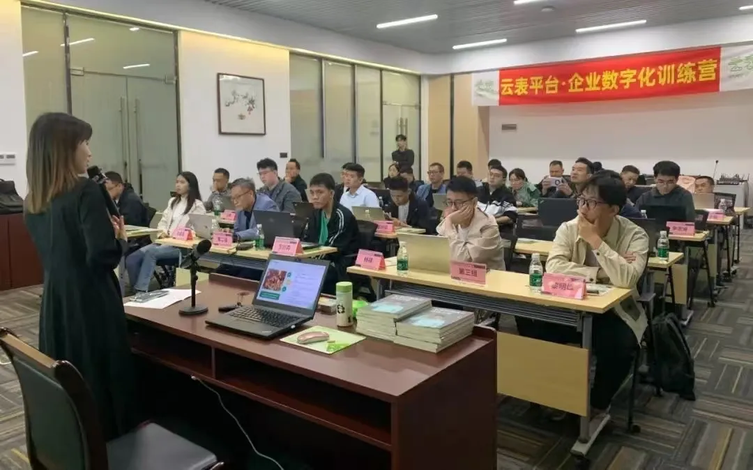 云表低代碼